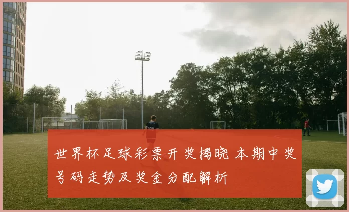 世界杯足球彩票开奖揭晓 本期中奖号码走势及奖金分配解析