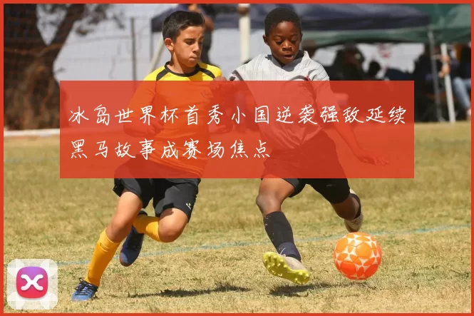 冰岛世界杯首秀小国逆袭强敌延续黑马故事成赛场焦点