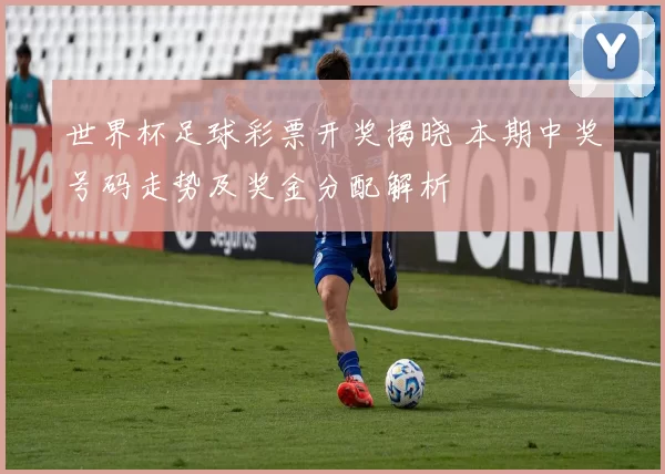 世界杯足球彩票开奖揭晓 本期中奖号码走势及奖金分配解析