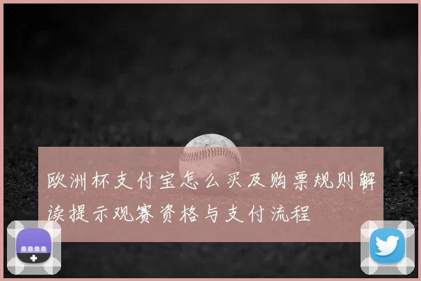 欧洲杯支付宝怎么买及购票规则解读提示观赛资格与支付流程