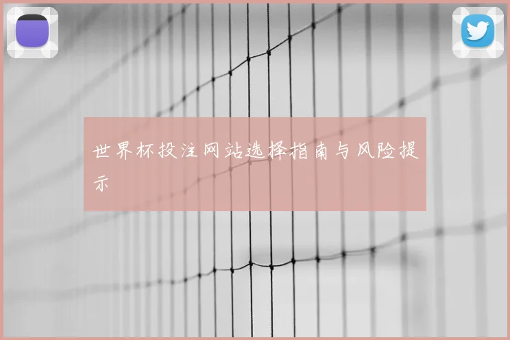 世界杯投注网站选择指南与风险提示