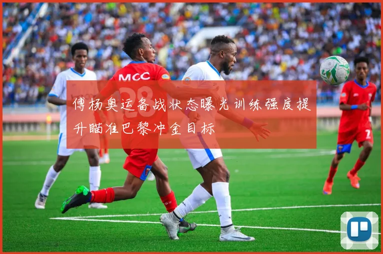 傅杨奥运备战状态曝光训练强度提升瞄准巴黎冲金目标
