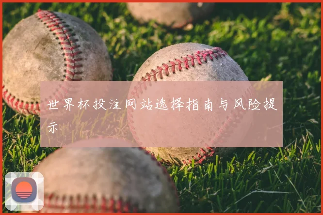 世界杯投注网站选择指南与风险提示